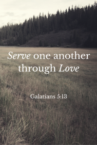 Serve one another through Love
